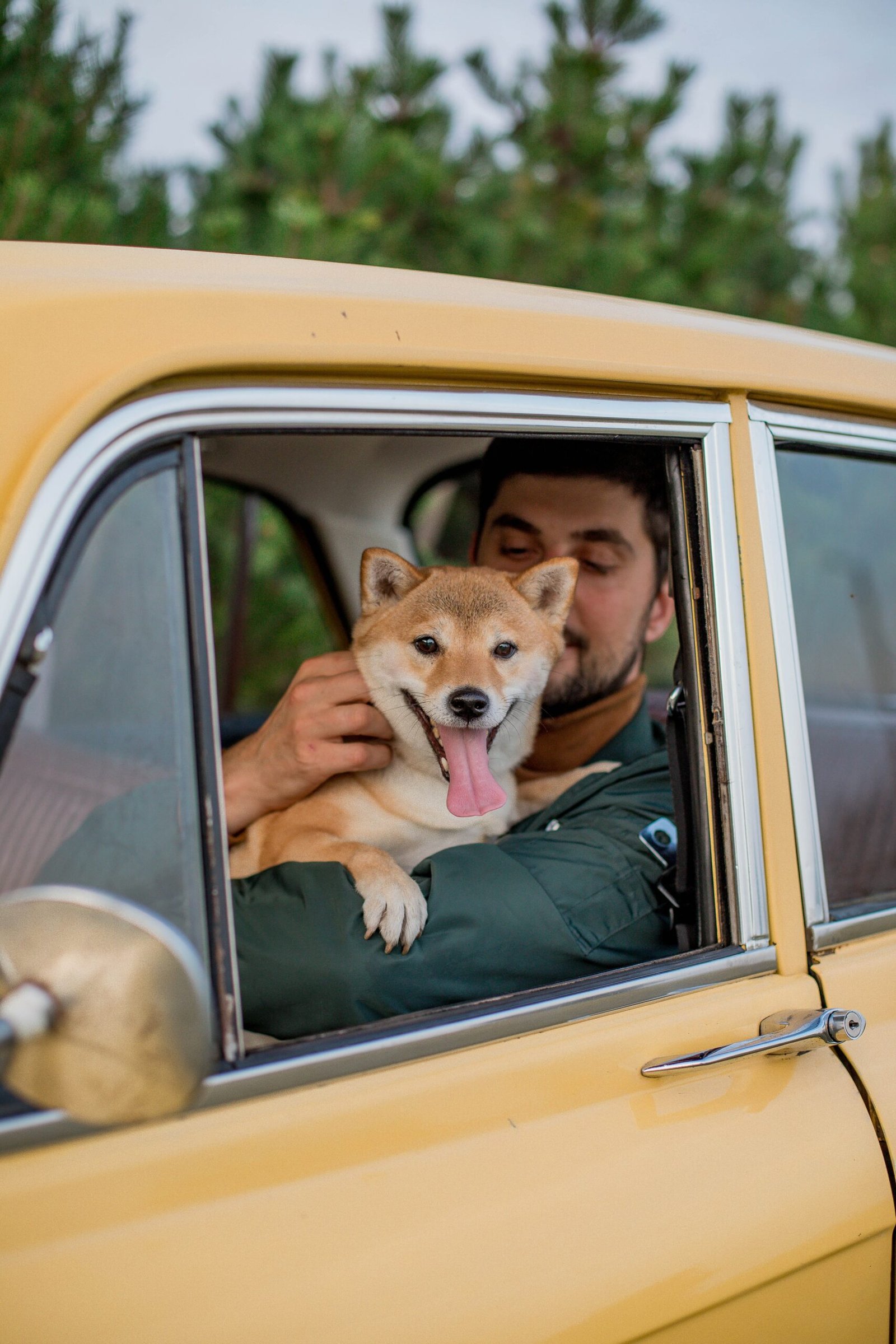 Pet Transportation Service