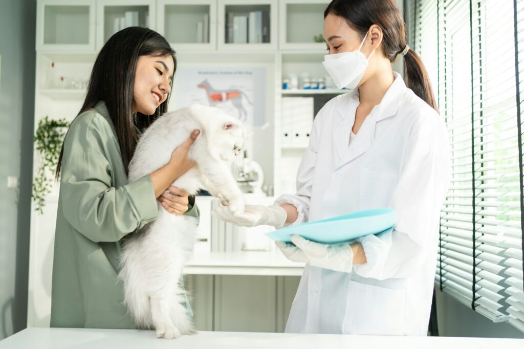 Asian pet owner woman take little cat to veterinary clinic for examine in pet hospital.