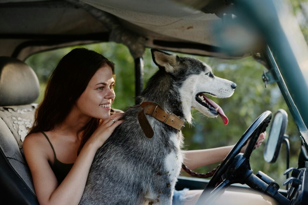Woman and her husky dog happily traveling in car smile with teeth autumn walk with pet, travel with