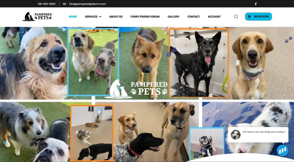 This image is a homepage snippet of Pampered Pets - a premier pet relocation service.