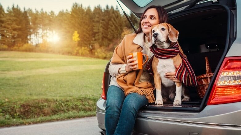 Road Trip Essentials For Pets