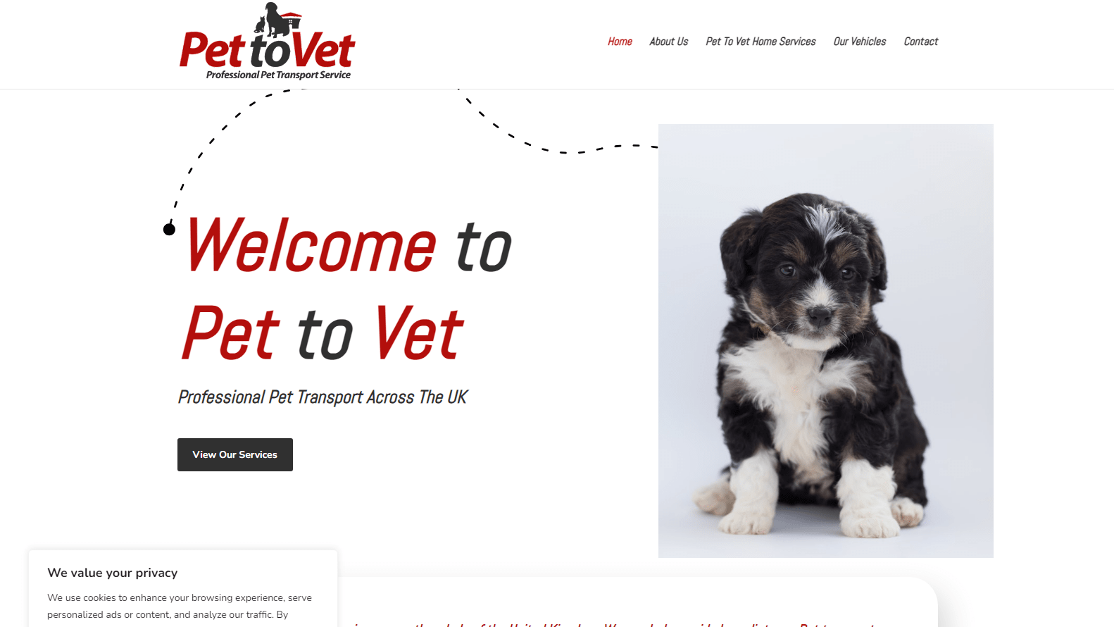 Pet to Vet