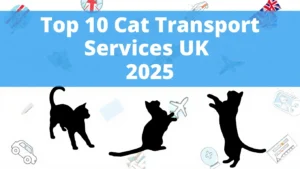 Top 10 cat transport services in the UK 2025