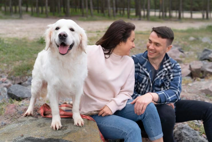 Airport Transfer and Quarantine Assistance