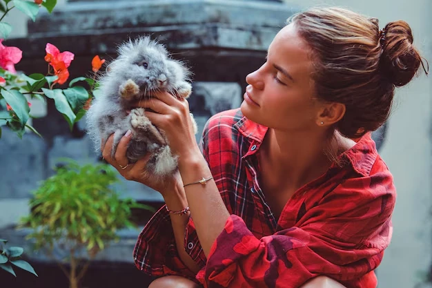 Breeder and Shelter Courier Servicesk