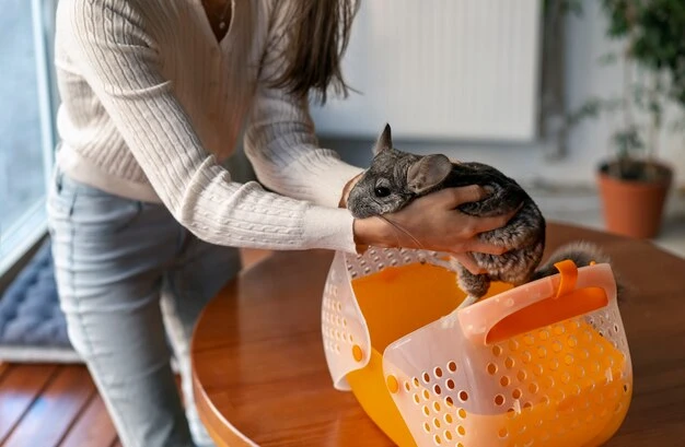 Corporate Pet Relocation Programhp