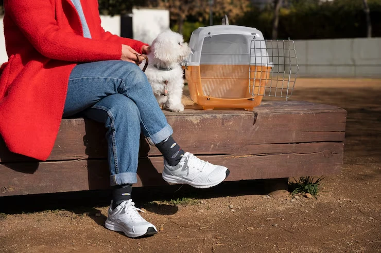 Custom Travel Crates and Comfort Planningrt