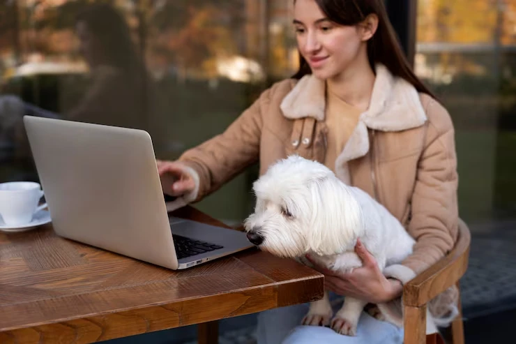 Destination Arrival and Customs Clearance