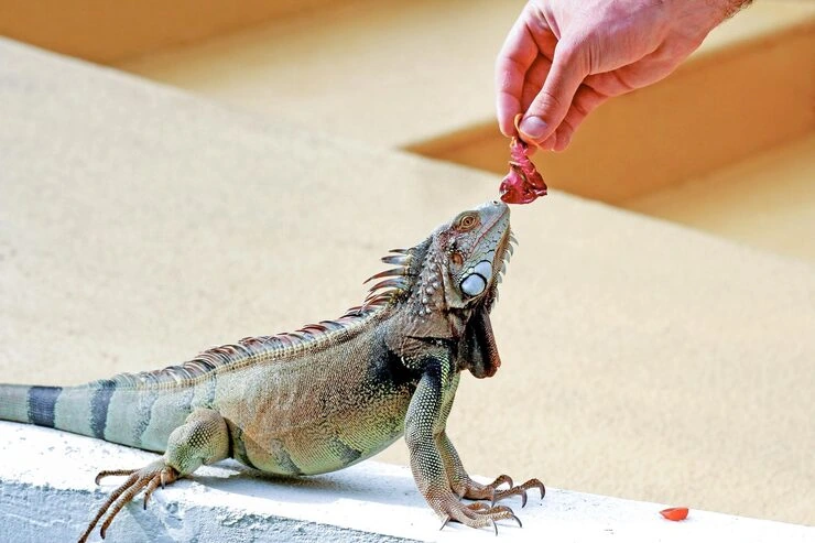 Documentation and Permit Management