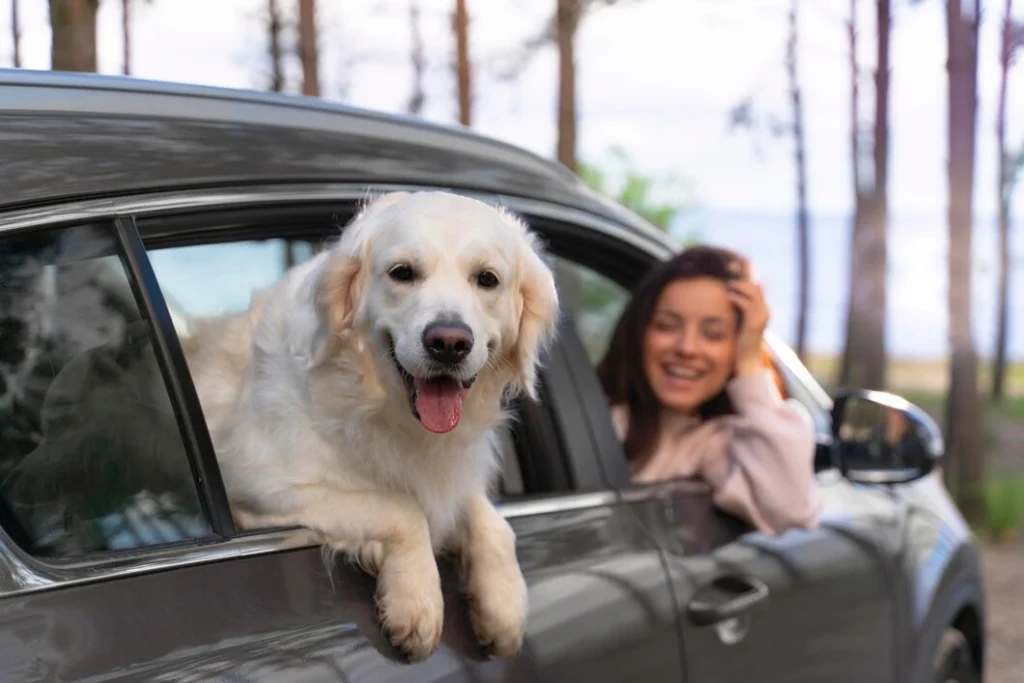 Dog Travel Services - Pet Ground Transportation