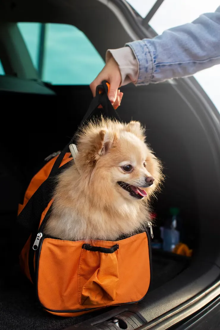 Ground Transport and Last-Mile Coordinationo