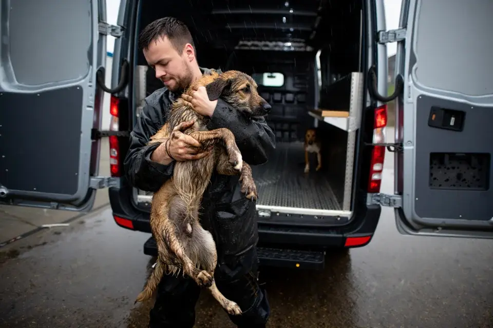 Ground Transport in Brazil and the UK