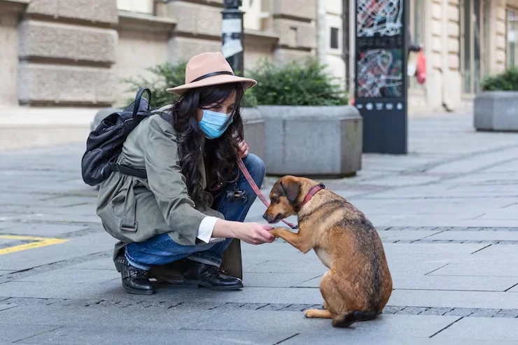 Ground Transport to and from the Airport