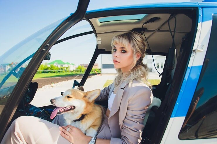 International Pet Relocation