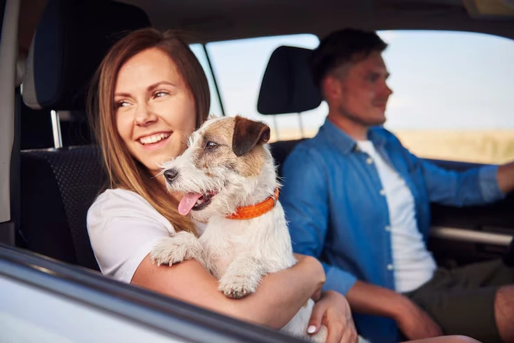 Pet Travel Services - Safe Ground Transportation