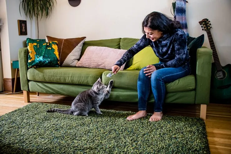 Pet Relocation Services From Nigeria to the UK