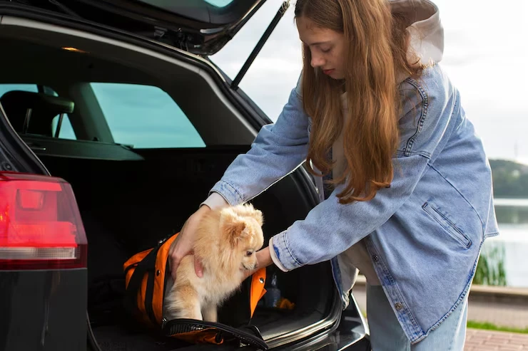 Pet Relocation Services From The UK to Honolulu