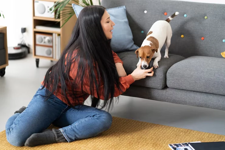 Pet Relocation Services From the UK to San Jose, Costa Rica​