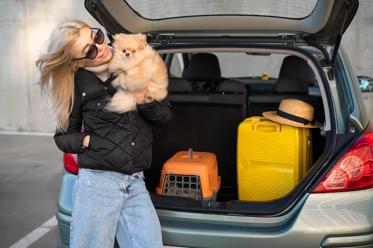 Pet Transport Logistics and Flight Arrangements