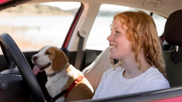 Pet Transport Service From the UK to Sao