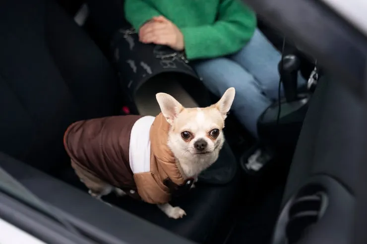 Pet Transport Services From Leeds to Dar es Salaam