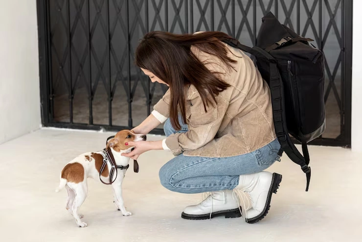 Pet Transport Services From Sheffield to Manama 