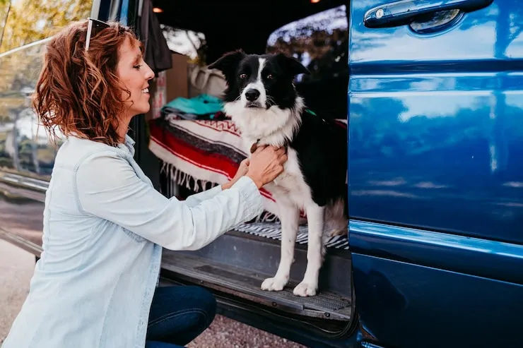 Pet Transport Services From The UK to Indianapolis
