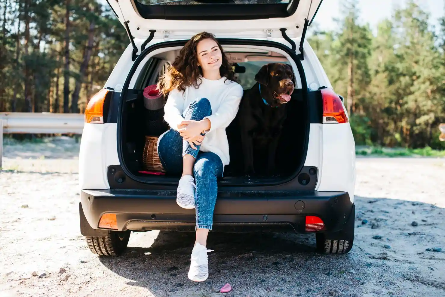 Pet Transport Services From the UK to Salt Lake City