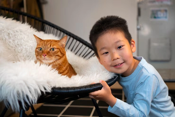 Pet Travel Documentation Assistance