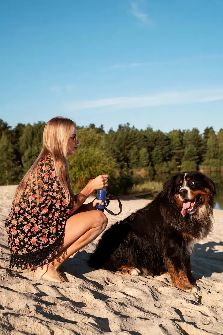 Pet Welfare Monitoring and Journey Preparation