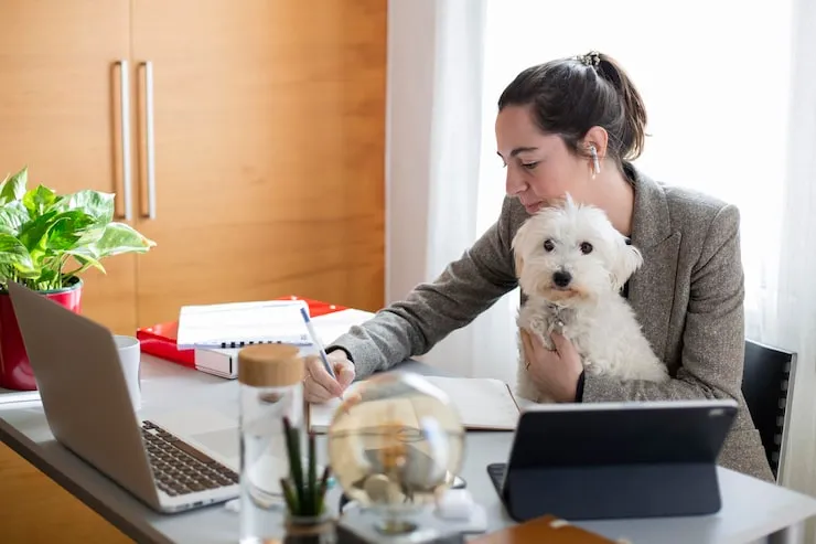 Quarantine and Veterinary Compliance