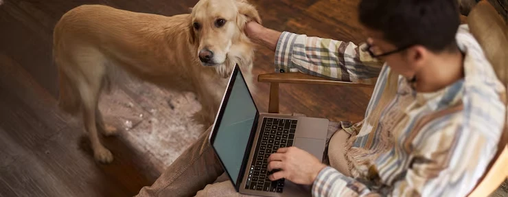 Regional Customs Handling and Regulatory Coordinationl