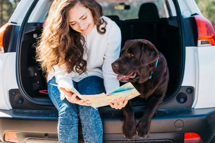 Reliable Pet Transfer Service in Leeds