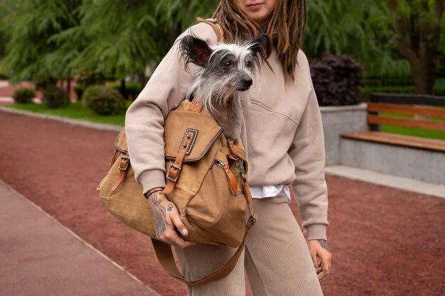 Return flights, Crate Provision and Fittingh