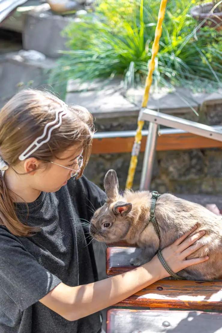 Small Animal and Exotic Pet Courier Servicesk