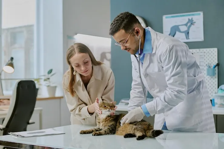 Temporary Boarding and Holding Facilities