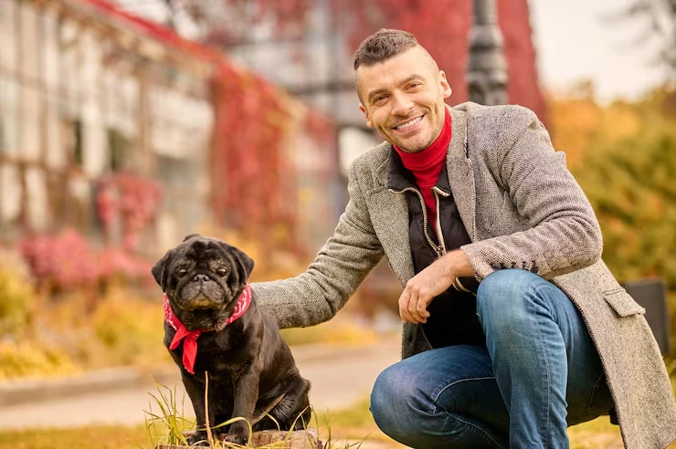 Travel Crate Sourcing and Fit Assessmentf