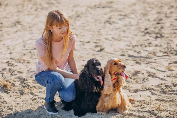 UK-Wide Pet Transport