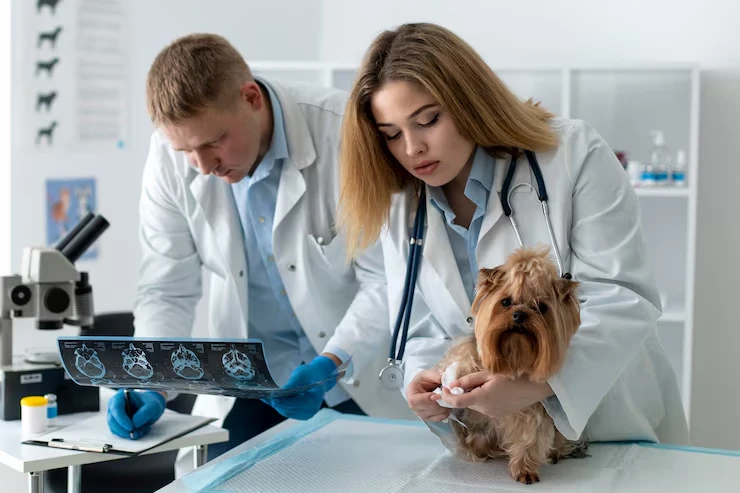 Veterinary Compliance and Health Certificationd