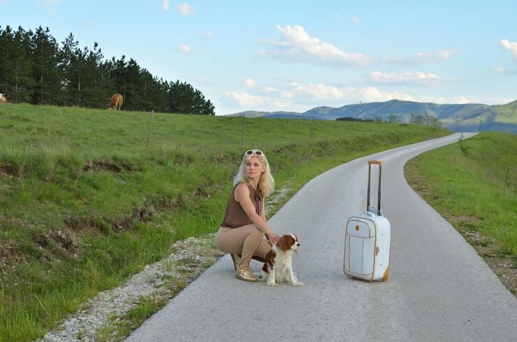 Veterinary Coordination & Pre-Travel Medical Scheduling