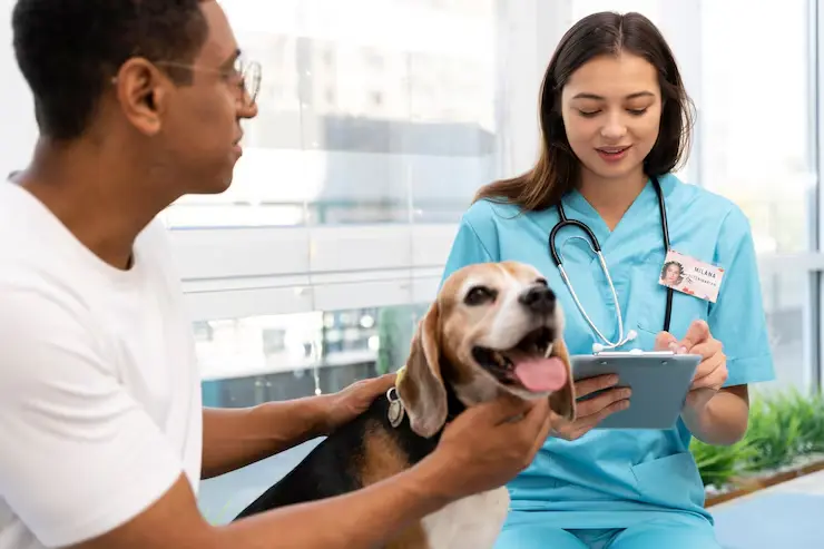 Veterinary Documentation and Compliance Management