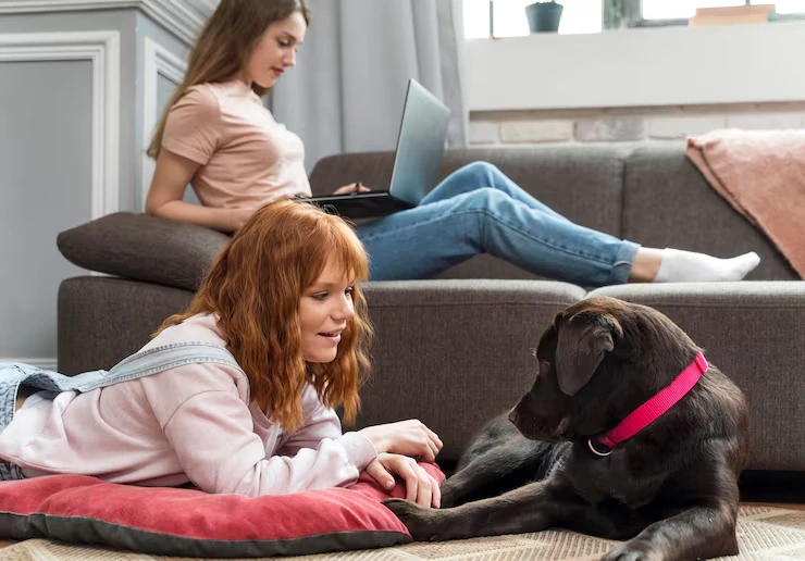 Veterinary Health Certification and Documentation