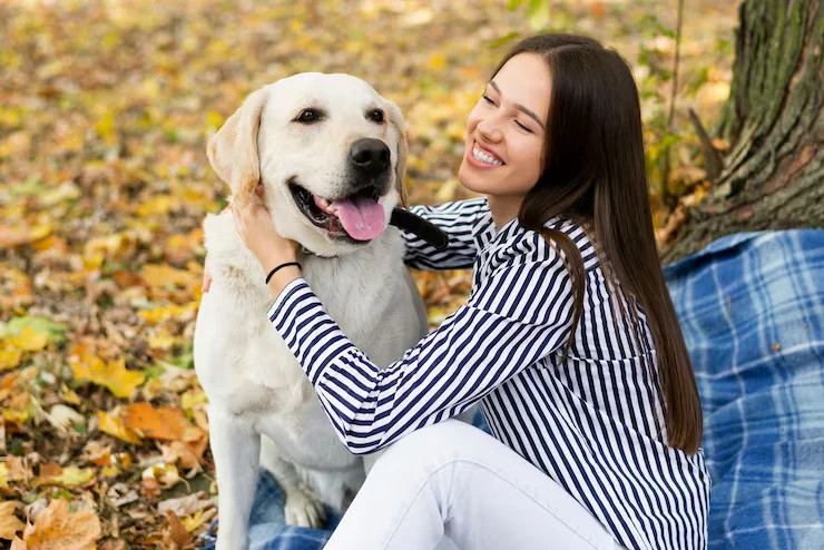 Veterinary and Health Documentation​