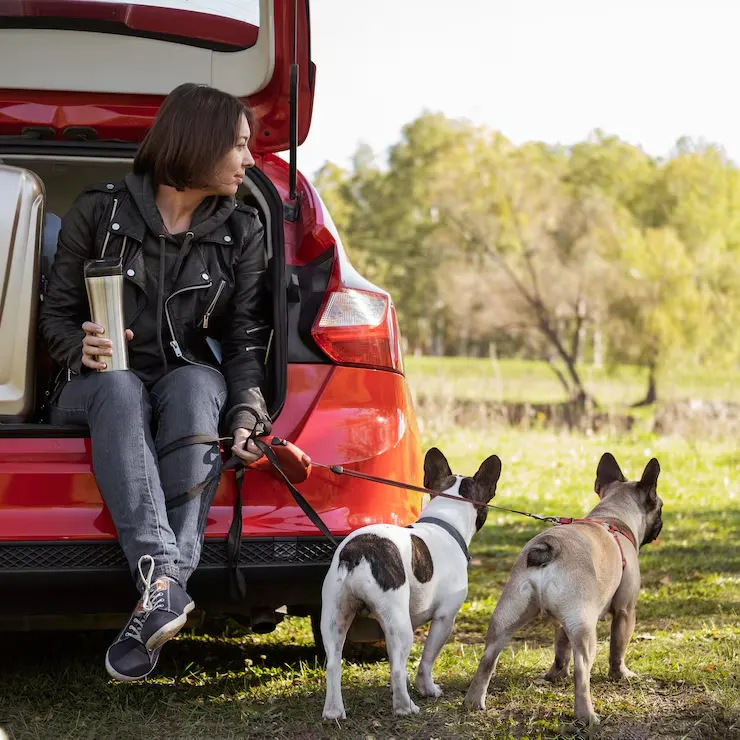 Pet Transport Services From Chile to the UK