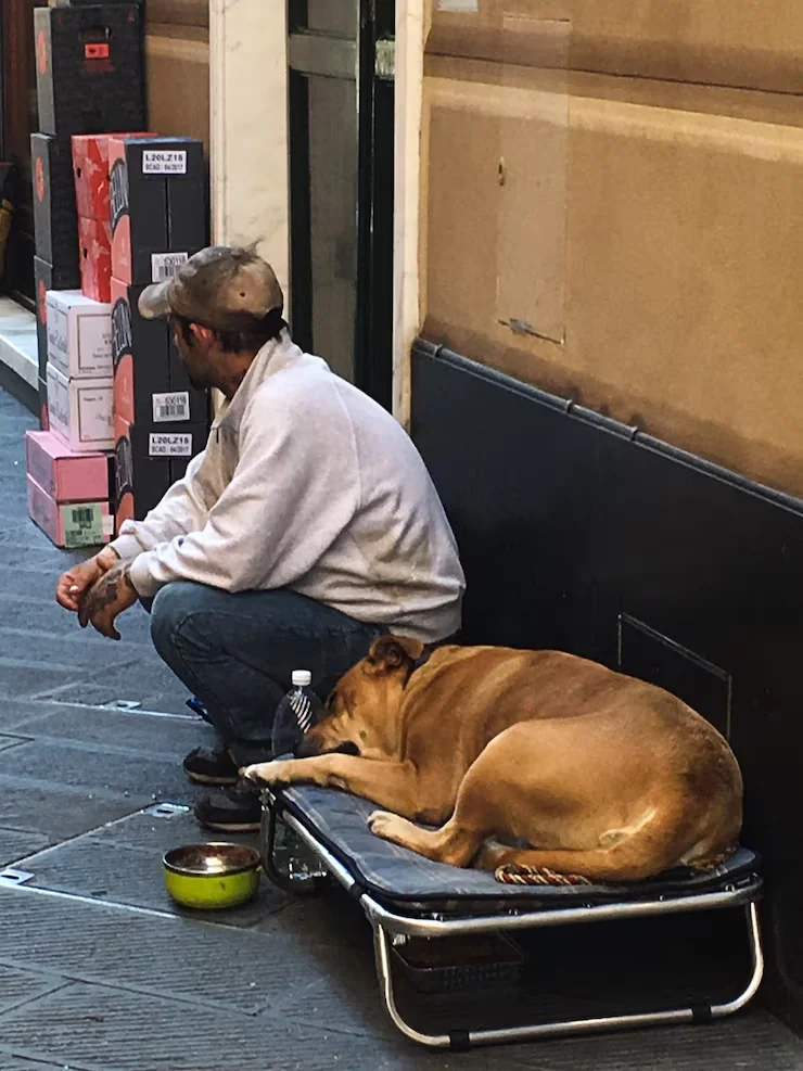 After Hours Export Clearance Coordination