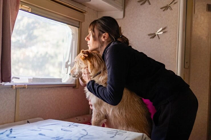 Airline Booking and Cargo Coordination