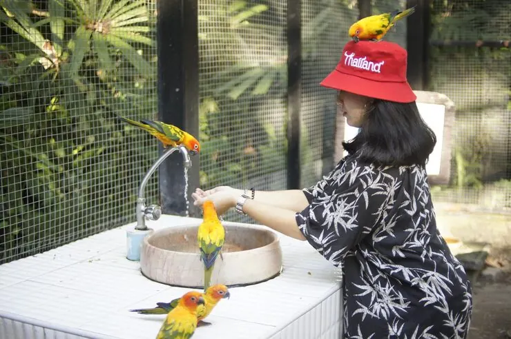 Airline Booking and Live Animal Handling