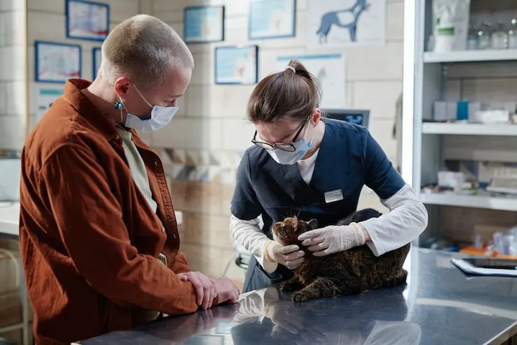 Airline Booking and Route Coordination