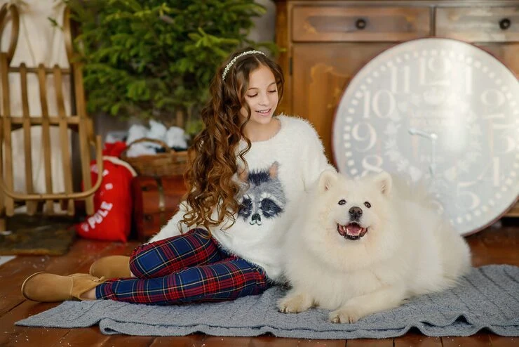 Airline Booking and Route Planning