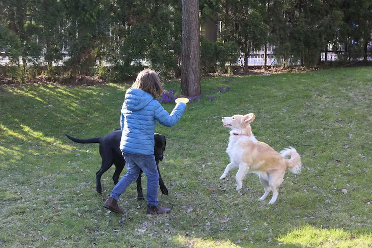 Airline Booking and Routing Oversight